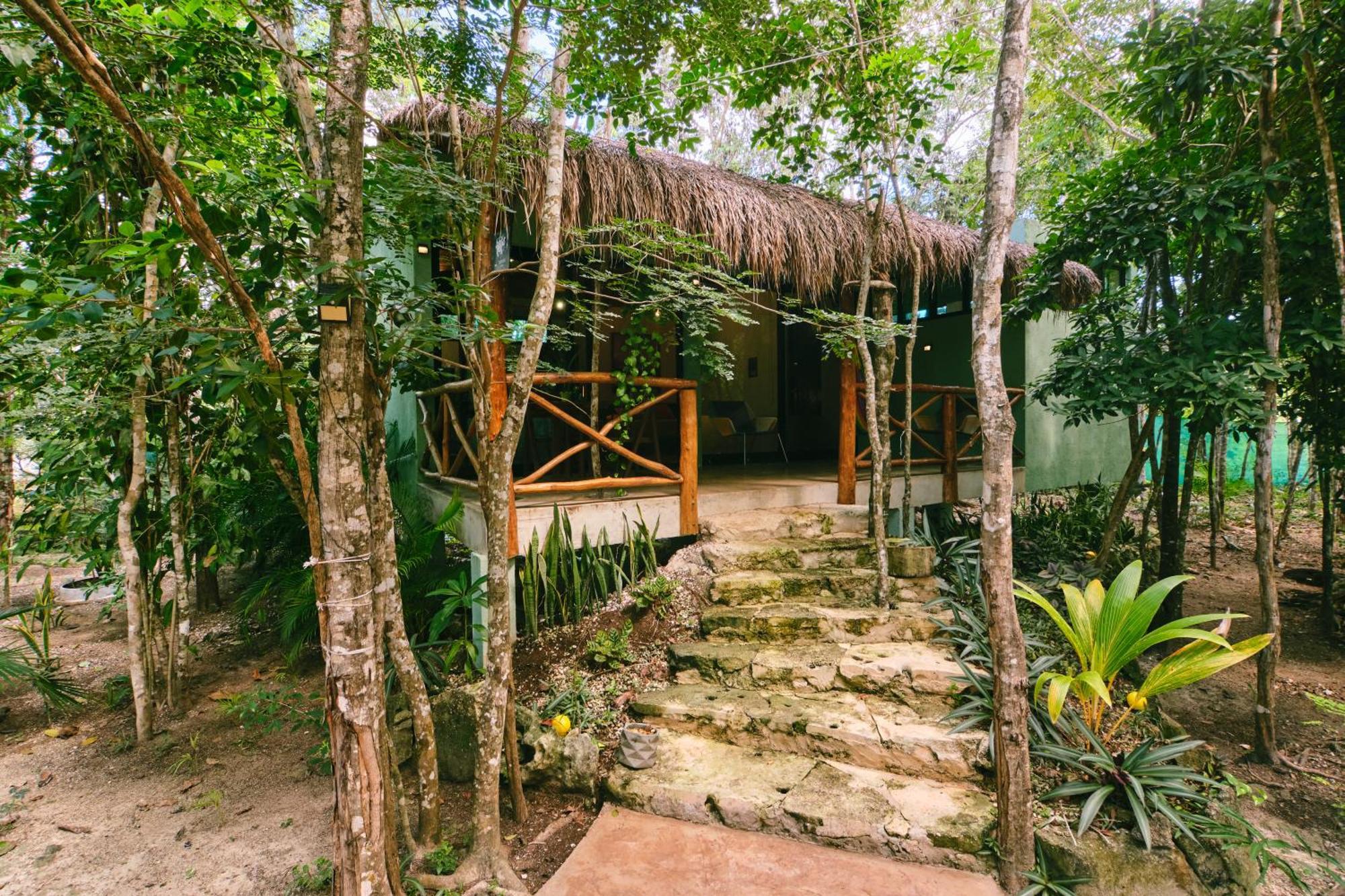 Villas Zamna - Jungle Villas Cozumel Exterior photo