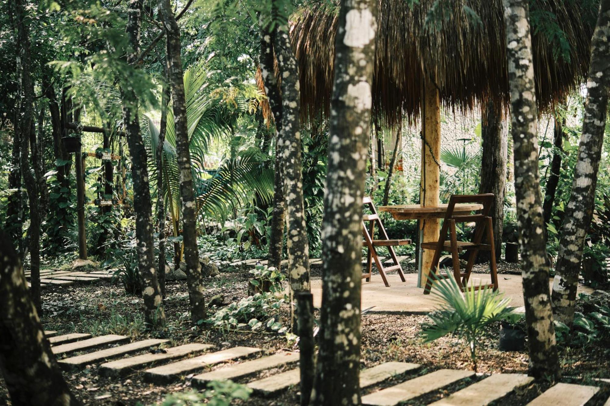 Villas Zamna - Jungle Villas Cozumel Exterior photo